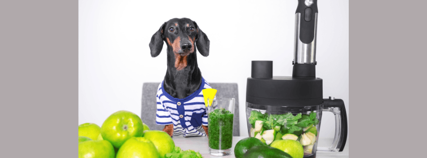 Does Your Dog Need A Detox? - Bugsy's Pet Supplies