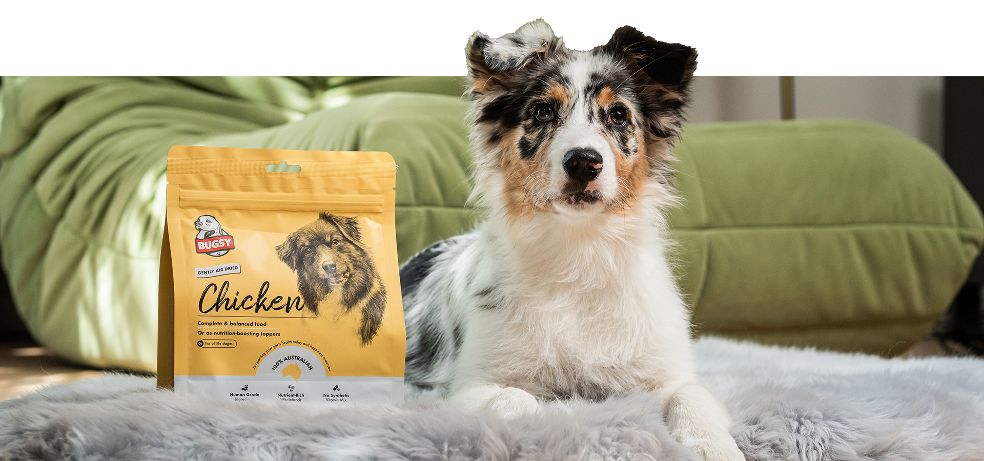 Dog Treats