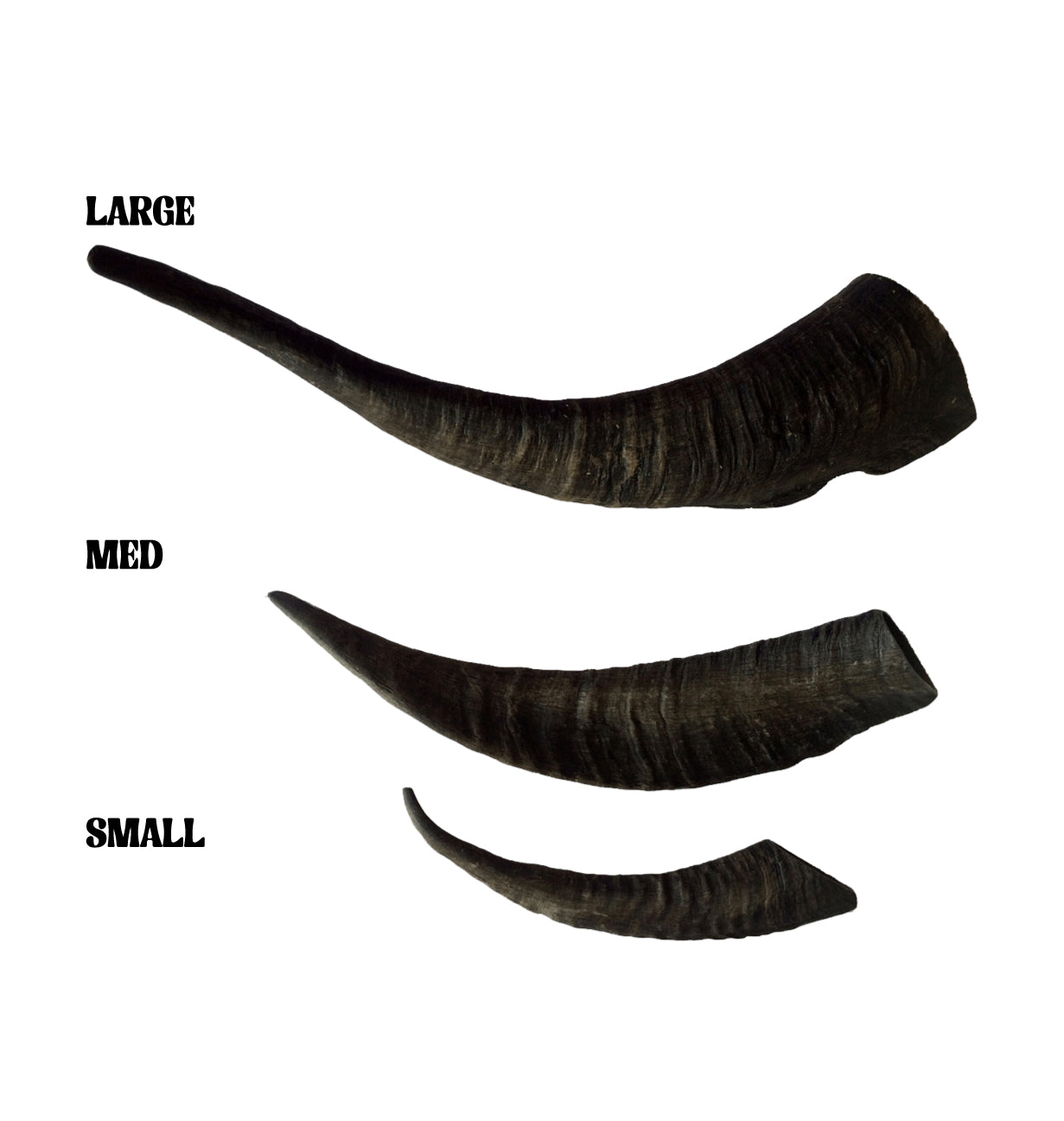 LONG LASTING | Whole Goat's Horn Dental Chews