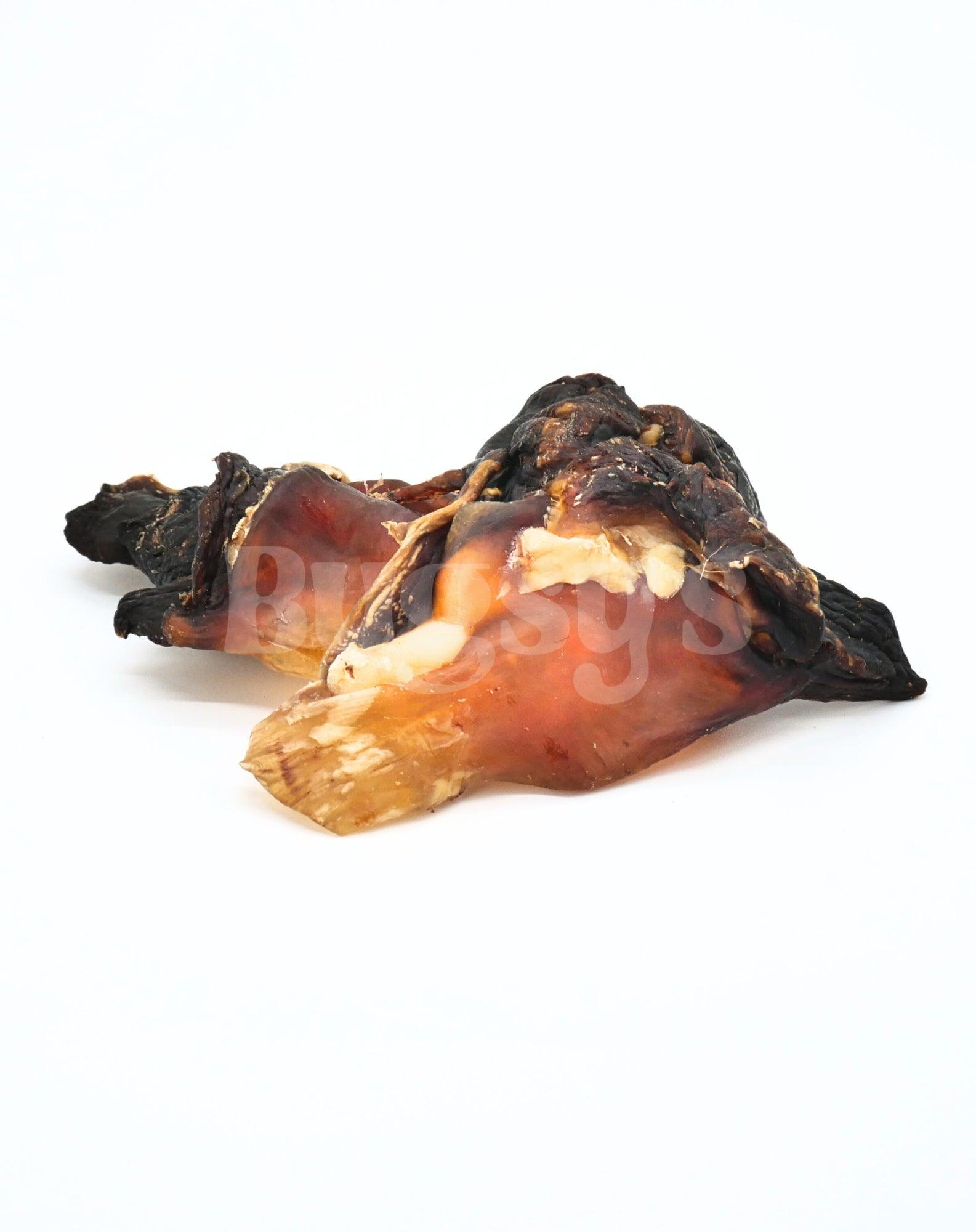 Kangaroo Knee Cartilage - Bugsy's Pet Supplies