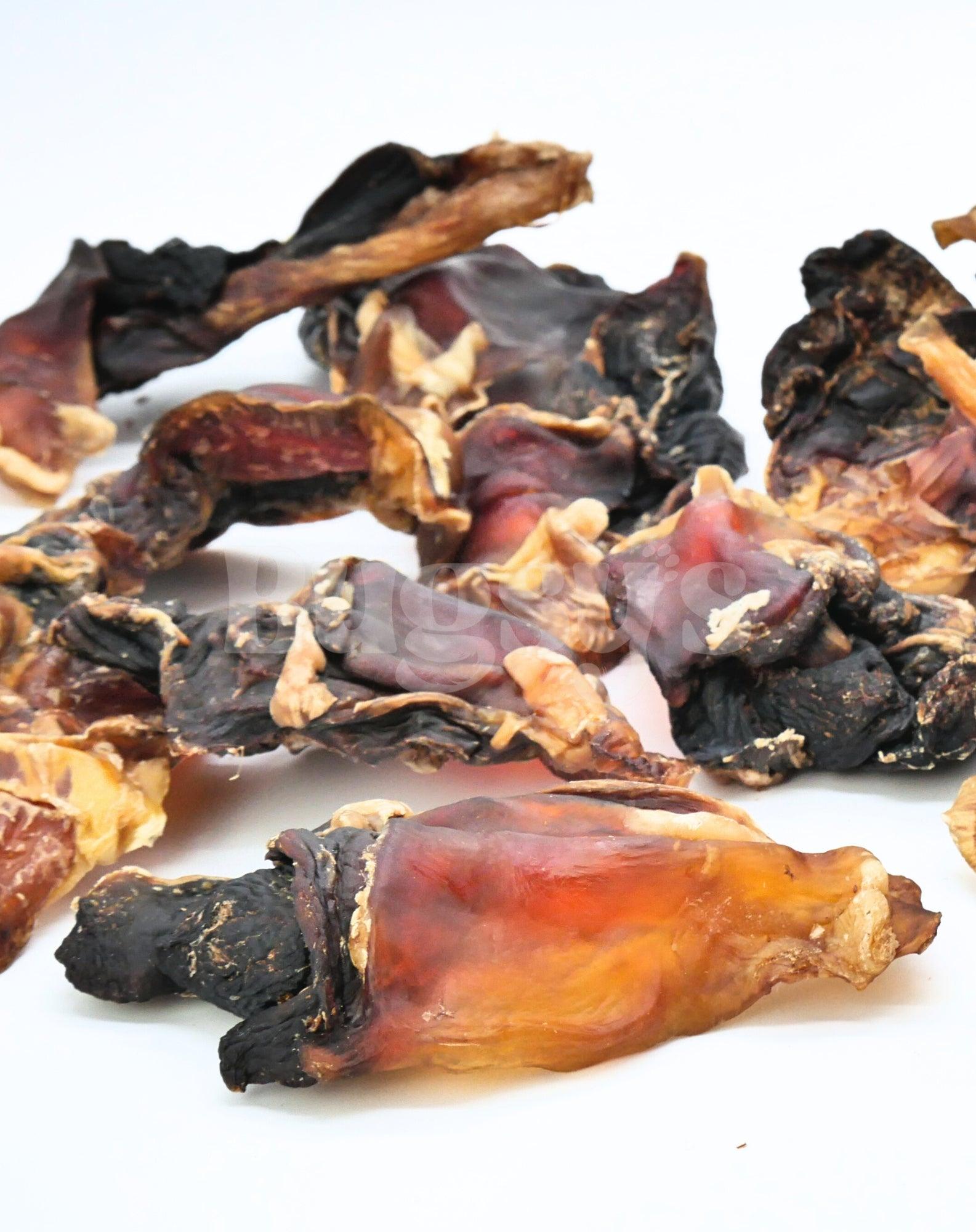 Kangaroo Knee Cartilage - Bugsy's Pet Supplies