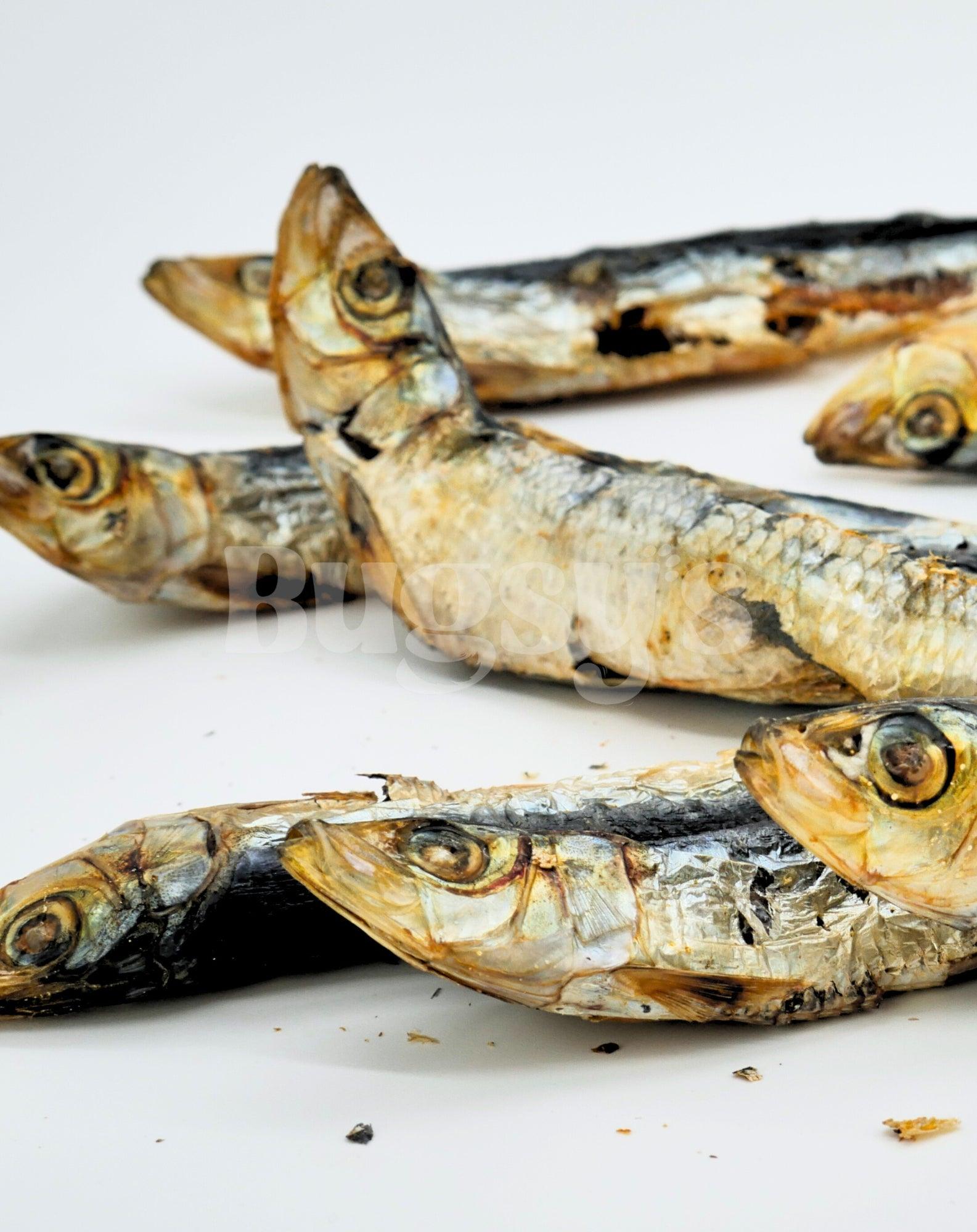 Big Fish | Sardines - Bugsy's Pet Supplies