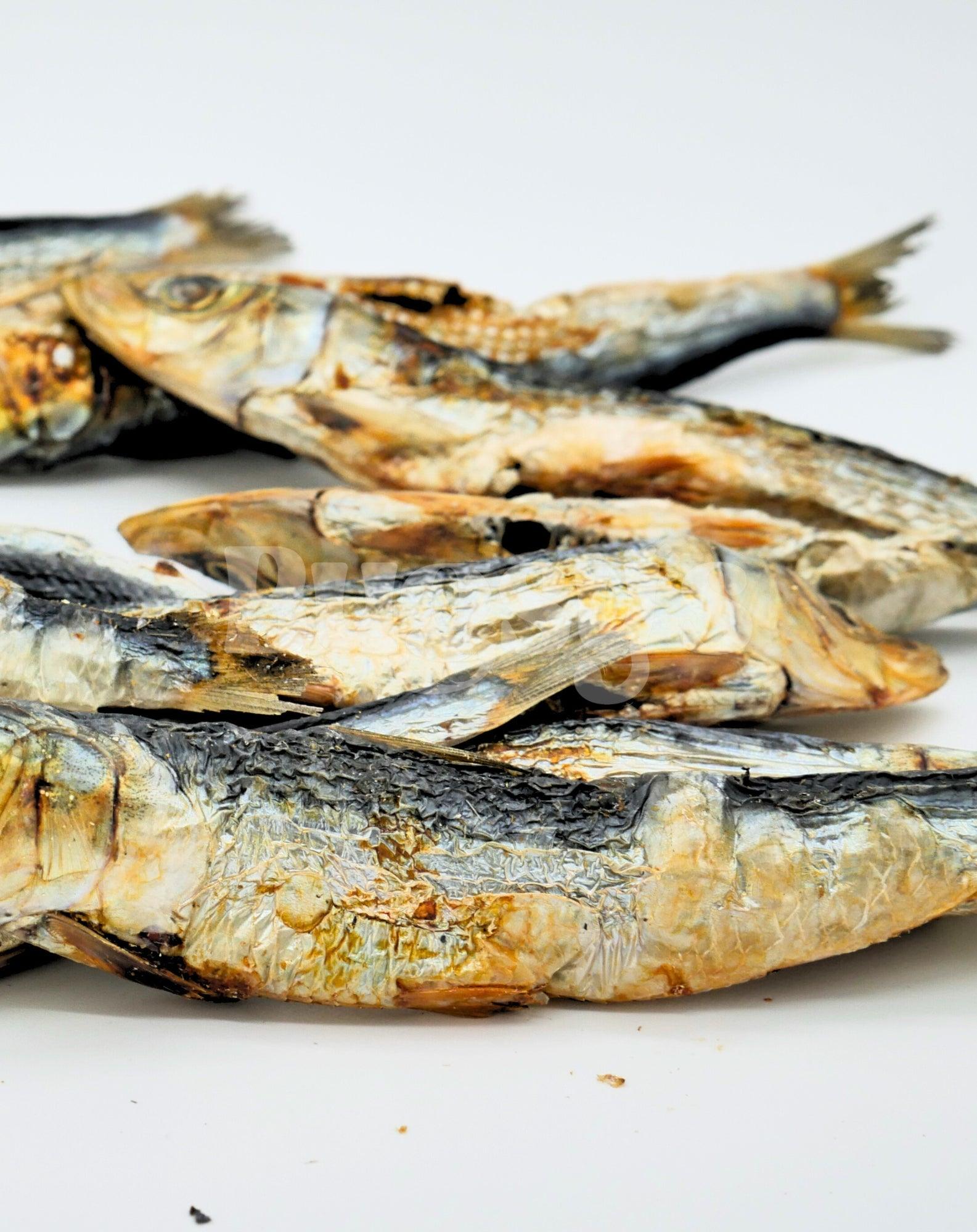 Big Fish | Sardines - Bugsy's Pet Supplies