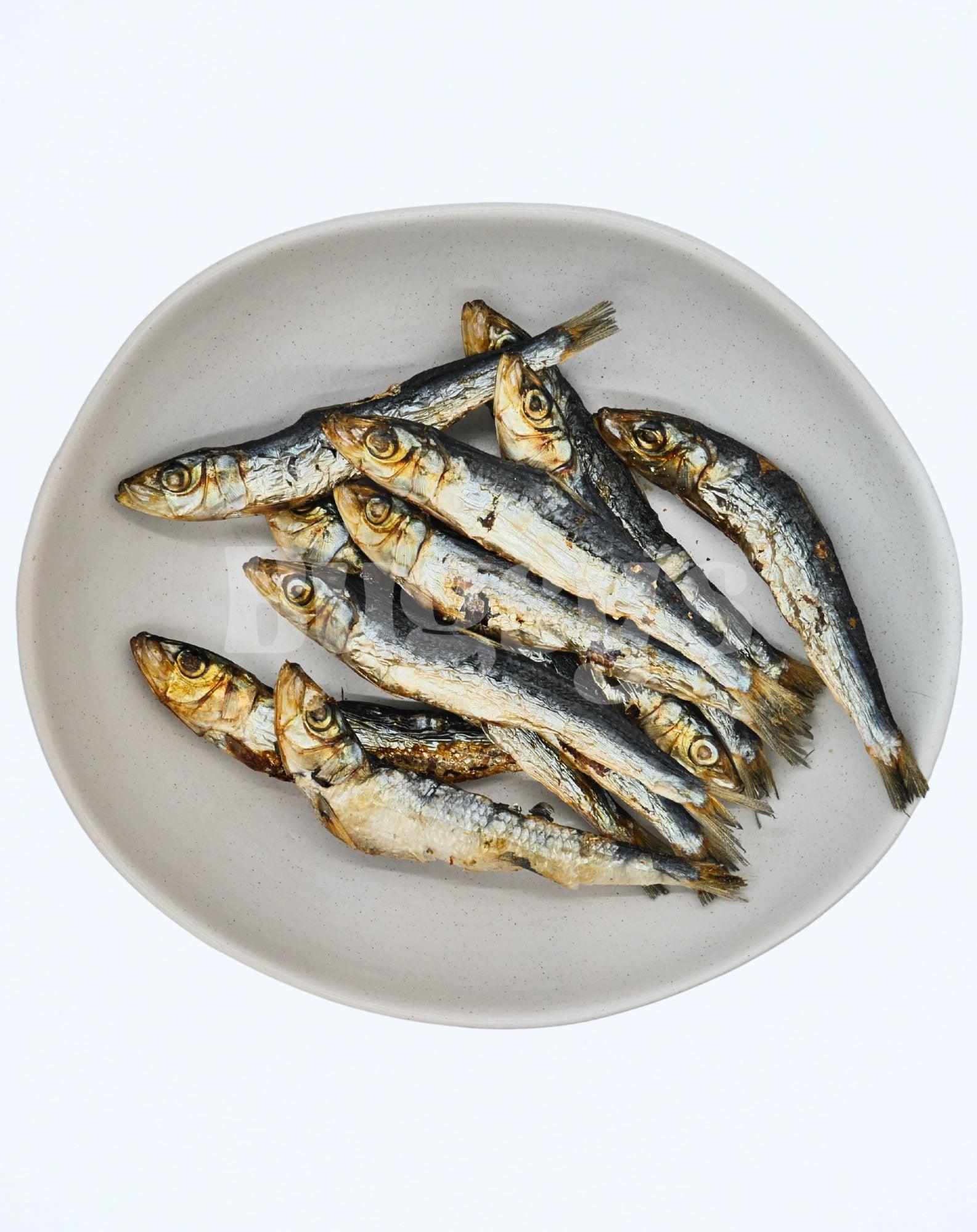 Big Fish | Sardines - Bugsy's Pet Supplies
