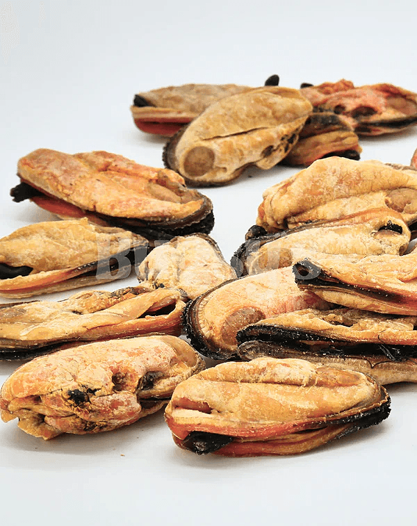 Green Lipped Mussel - Bugsy's Pet Supplies