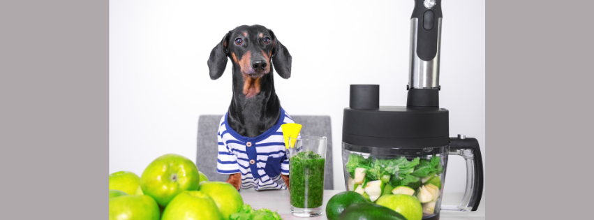 Does Your Dog Need A Detox?