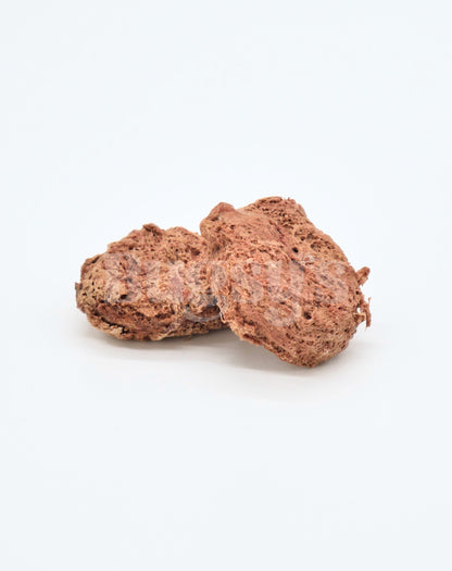 Cordy Kang | Kangaroo & Cordyceps | Functional Dog Treat - Bugsy's Pet Supplies