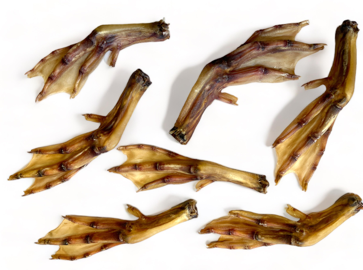 Bugsy's Duck Feet