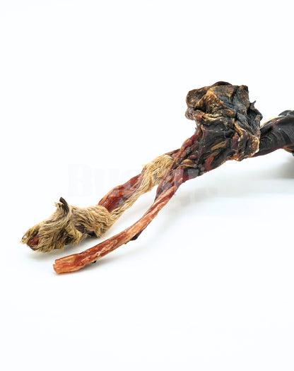 Kangaroo Tendon - Bugsy's Pet Supplies