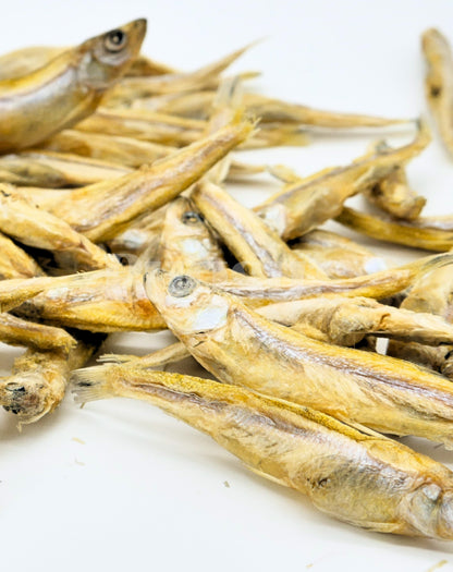 Little Fish | Whitebait - Bugsy's Pet Supplies