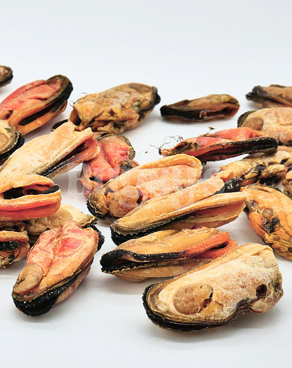 Green Lipped Mussel - Bugsy's Pet Supplies