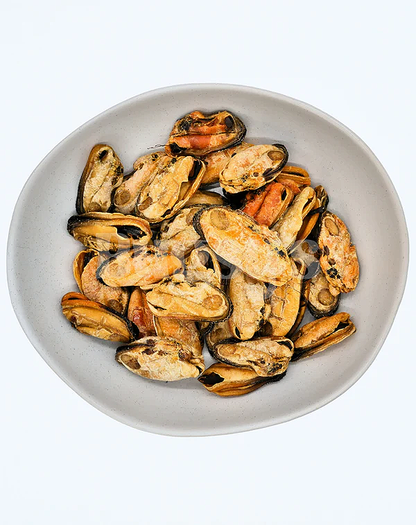 Green Lipped Mussel - Bugsy's Pet Supplies